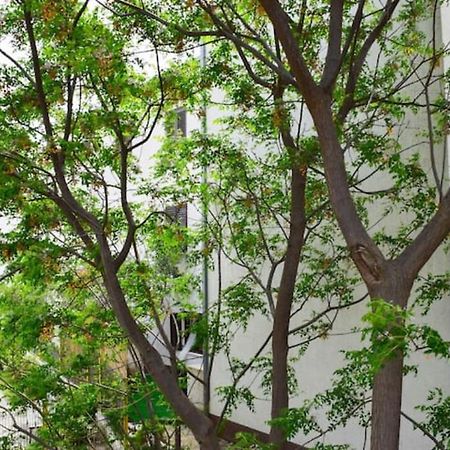 Apartments Marasovic - Roko Split Zewnętrze zdjęcie